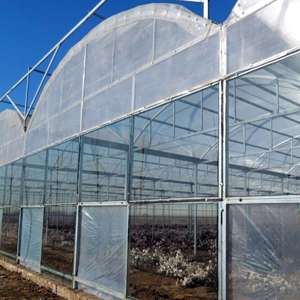 Industrial Agriculture Film Greenhouse for Sale